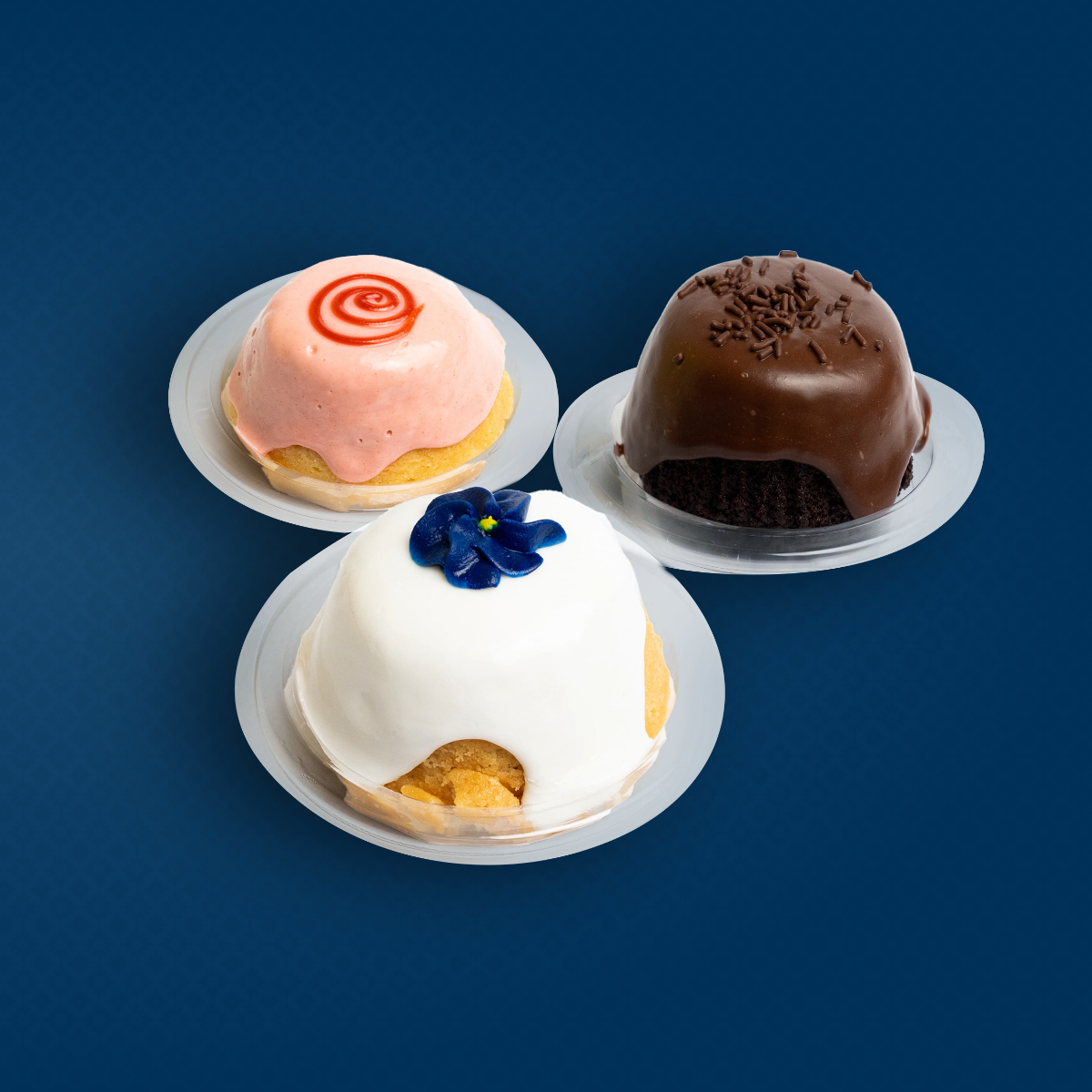 Our Cakes Cakes Plus Tampa