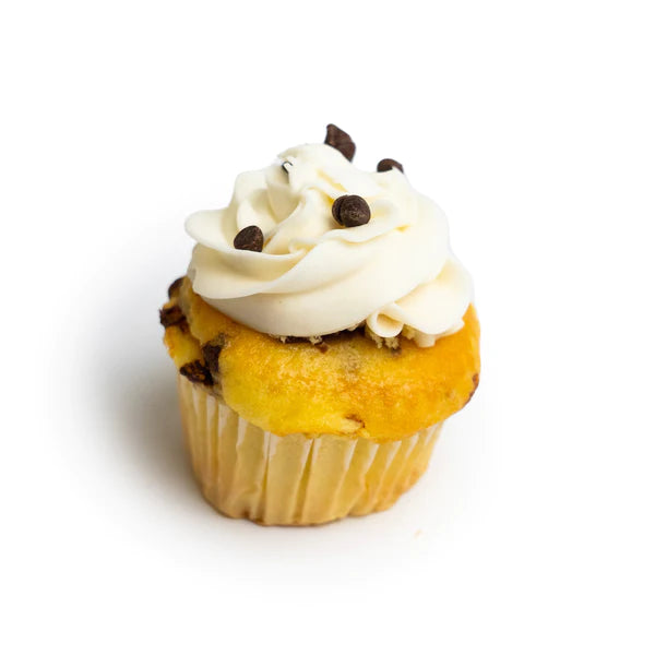 Chocolate Chip Cupcake
