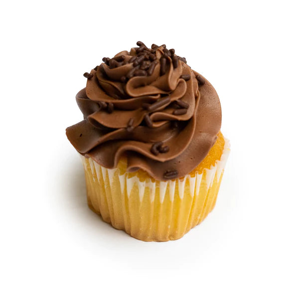 Vanilla Chocolate Cupcake