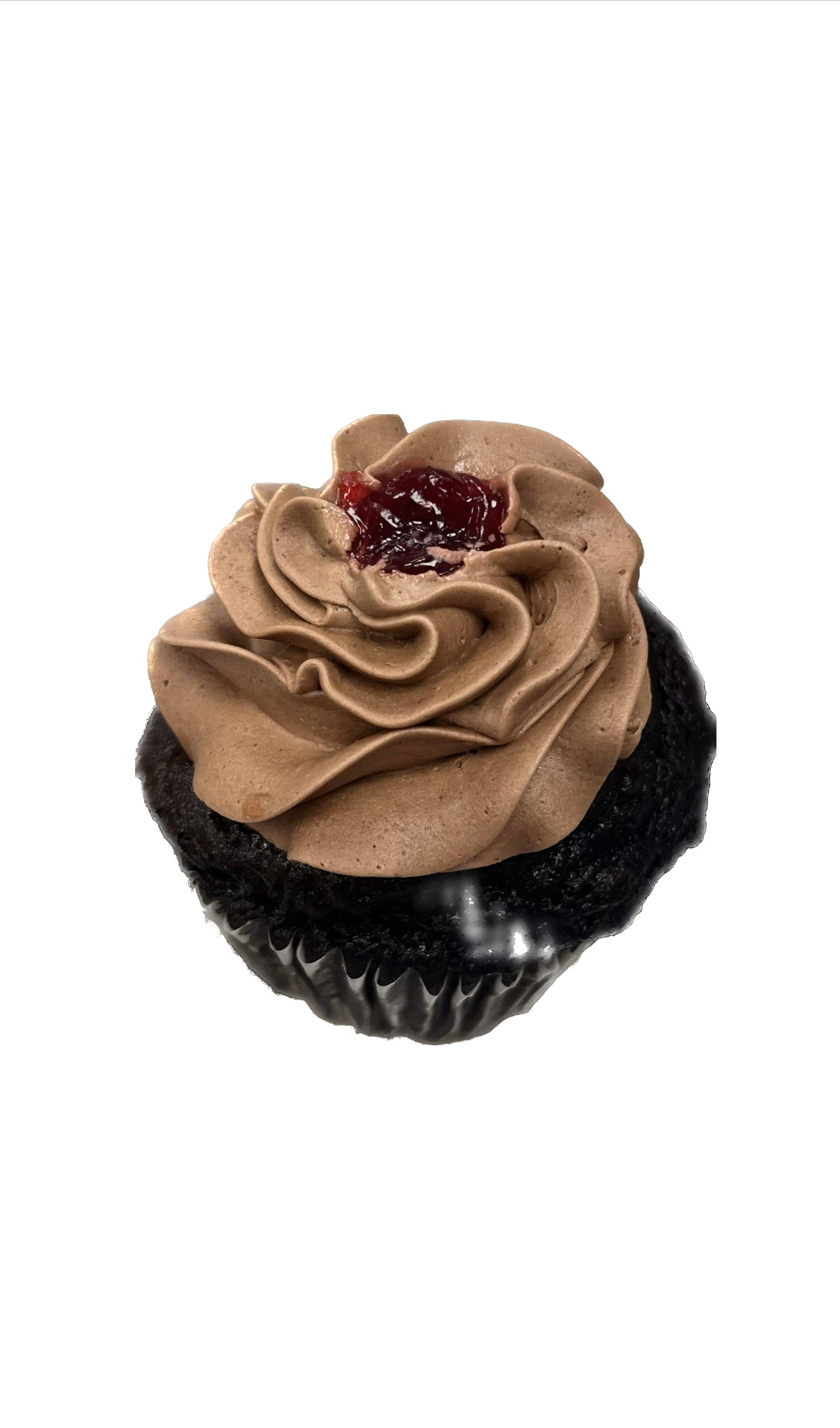 Chocolate Raspberry Cupcake